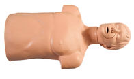 PVC охраны окружающей среды половинный - Manikins скорой помощи тела для практиковать деятельности CPR