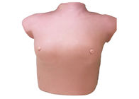 Женская грудь размера modreate имитатора больницы верхнего тела для рассмотрения тумора груди