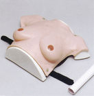 Женская грудь размера modreate имитатора больницы верхнего тела для рассмотрения тумора груди