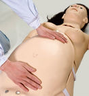 Уча тренировка материнский неонатальный имитатор рождения ребенка PVC