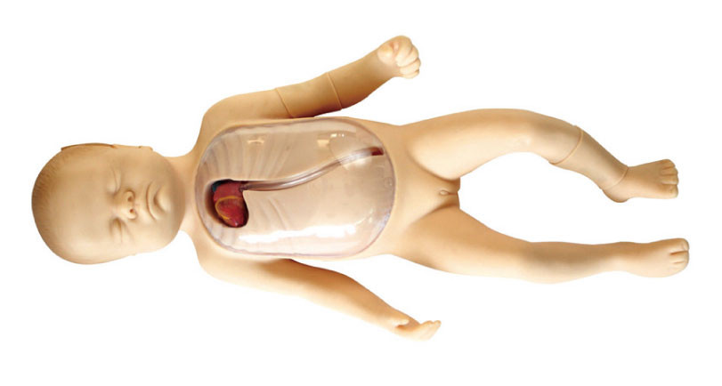 Manikin Neonate с периферийно введенной центральной имитацией ребенка катетера