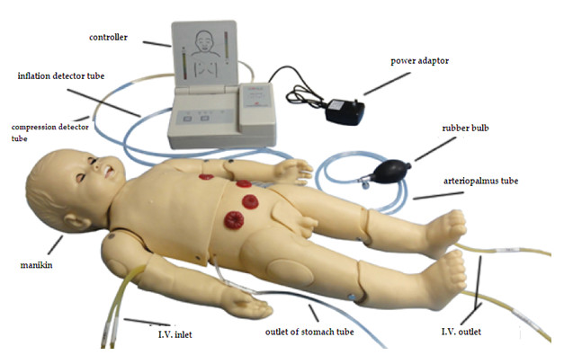 Имитатор аускультации установил/педиатрический Manikin имитации с генератором ECG