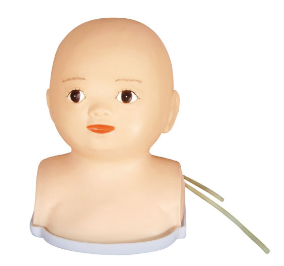 Предварительный младенческий головной синтетический педиатрический Manikin имитации для медицинских институтов