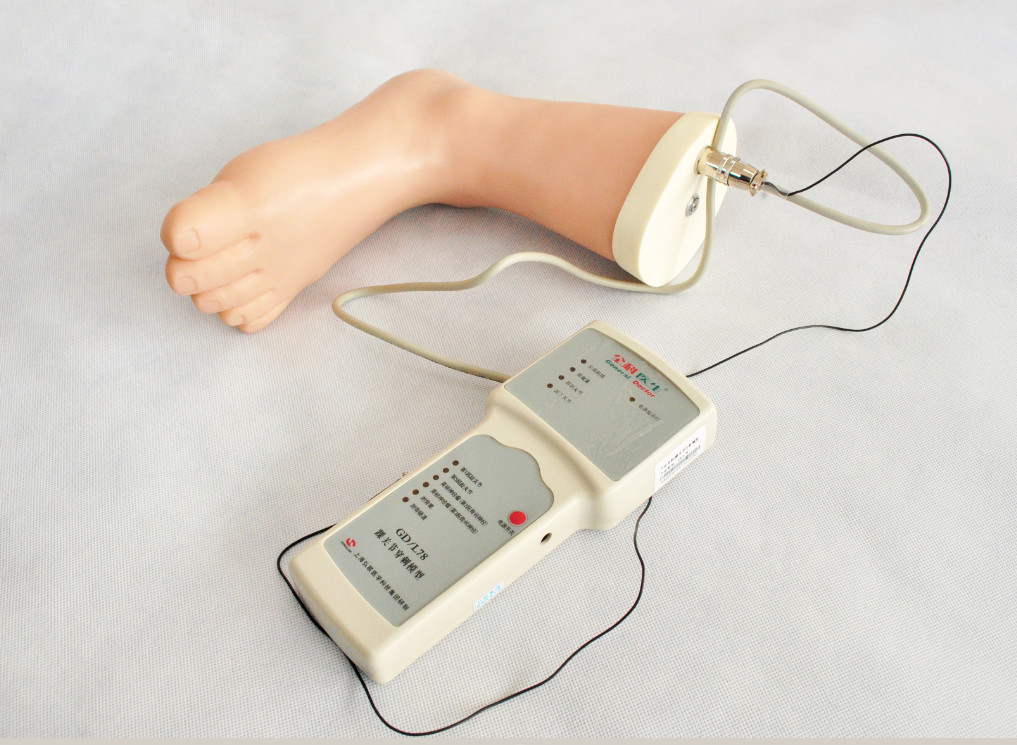 Инструмент тренировки имитации впрыски лодыжки ноги анатомической структуры клинический