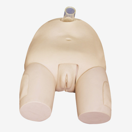 Оборудование предварительного имитатора прокола пузыря Manikin ухода женского воспитательное