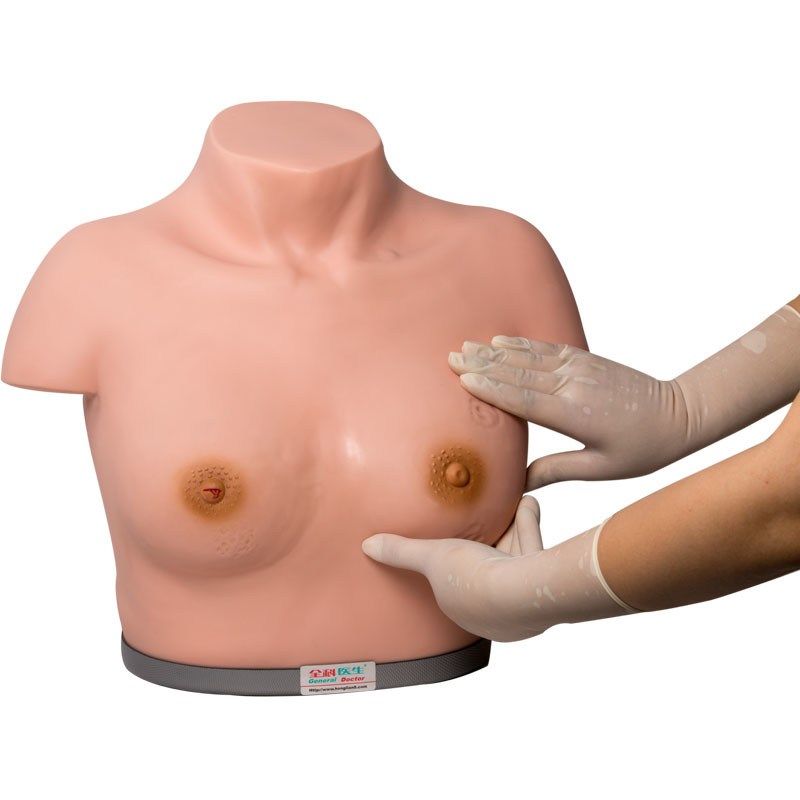 Пальпация осмотра имитатора рассмотрения груди PVC