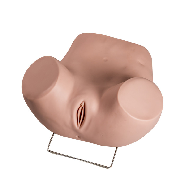 Модель рассмотрения PVC гинекологическая с заменой Cervicals