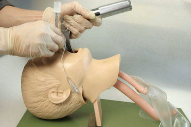 Реалистическая анатомическая структура с ртом детей, фаринксом, Tracheafor для тренировки интубации