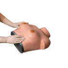 Имитатор груди пальпации осмотра гинекологический для тренировки