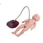 Имитатор рождения младенца тренировки PVC SGS с пуповиной