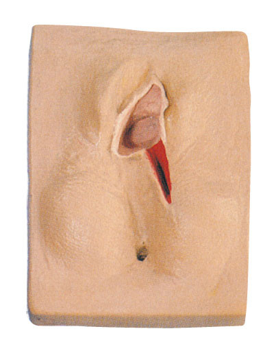 Тренировка реалистического Vulva имитатора рождения ребенка PVC касания мягкого Suturing