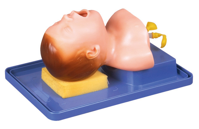Реалистический Neonate с головным анатомированием для трахеальной тренировки интубации