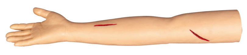 Suture модели тренировки рукоятки хирургические для резать и suturing в colleage, больнице