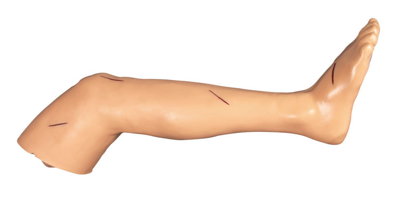 Suture вырезывание тренировки искусств ноги хирургическое и suturing кукла тренировки