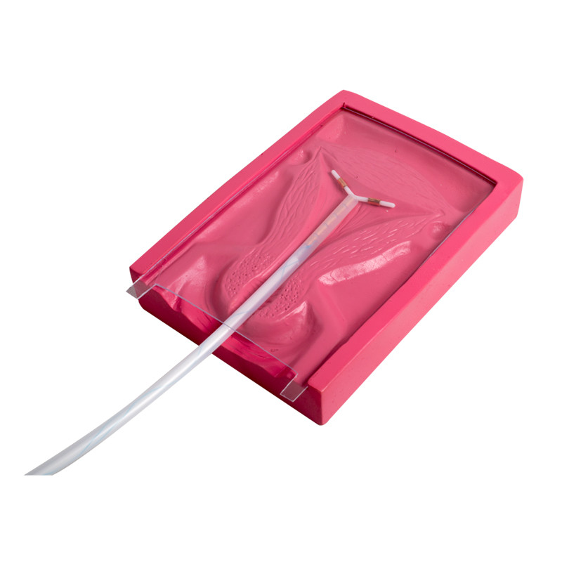 Имитатор медицинского ввода PVC IUD гинекологический для внутриутробного