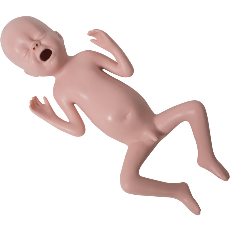 Manikin симуляции недоношенного ребенка педиатрический с пальпацией